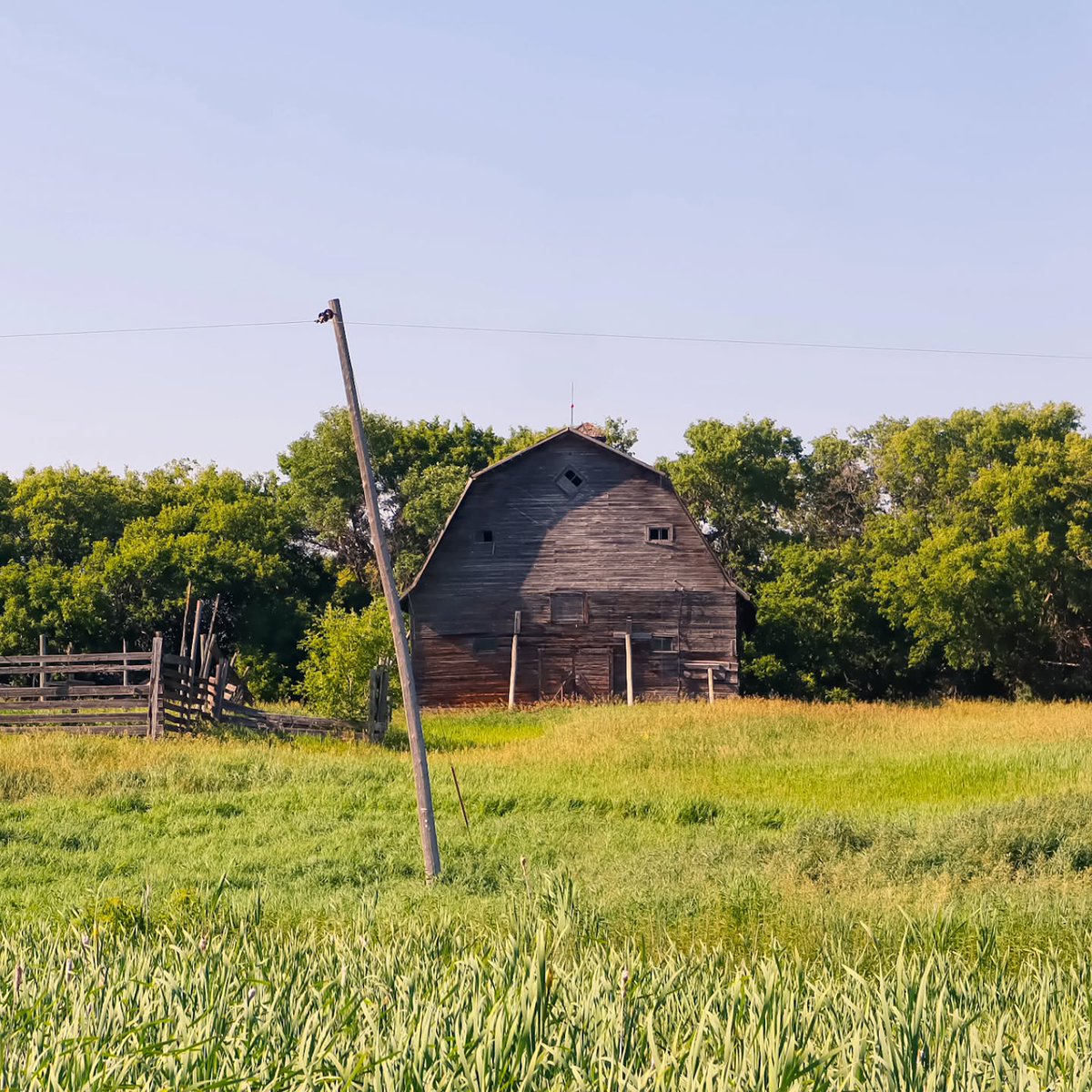 _qenesis's tweet photo. An abandoned farm near Storroway, Saskatchewan. https://t.co/lKDa01zkaT