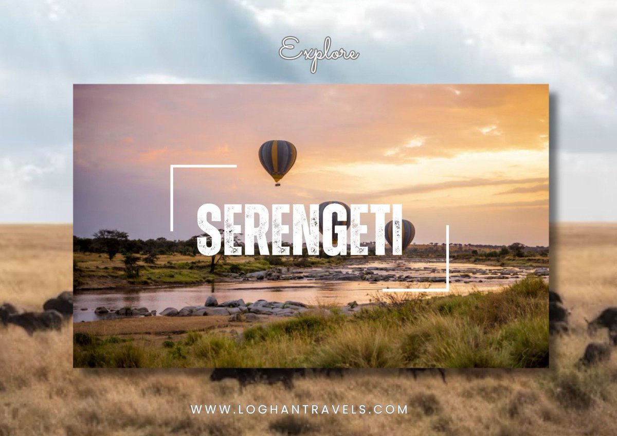 LoghanTravels's tweet photo. From the breathtaking landscapes of the Serengeti to the thrill of experiencing Tanzania’s iconic wildlife, every journey is an opportunity to discover something extraordinary.

For bookings &amp; enquiries: 0111 463 492 | info@loghantravels.com https://t.co/LArqZq5s94