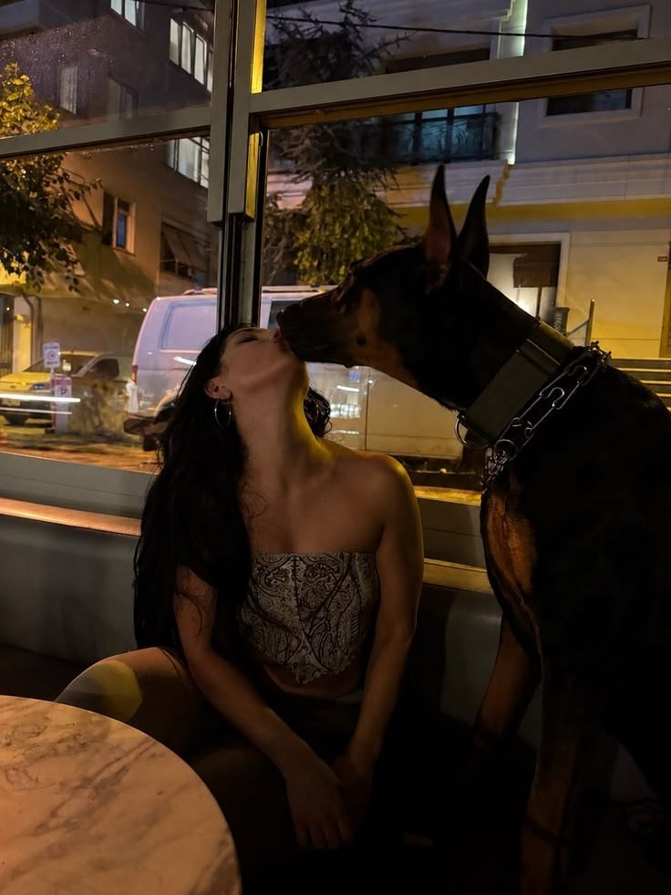 Dogmomjv's tweet photo. https://t.co/izzMbFdfUO

https://t.co/izzMbFdfUO https://t.co/tDMvSn9hn8