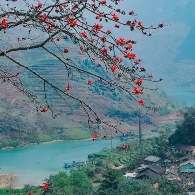 ramonpinto4's tweet photo. Discover Ha Giang’s majestic landscapes: conquer Ma Pi Leng Pass, cruise the emerald Nho Que River, visit Lung Cu Flag Tower and Vuong Family Mansion, and admire blooming buckwheat valleys. Travel with confidence with Ngoi Sao Group Travel. https://t.co/fddFmEc7J2