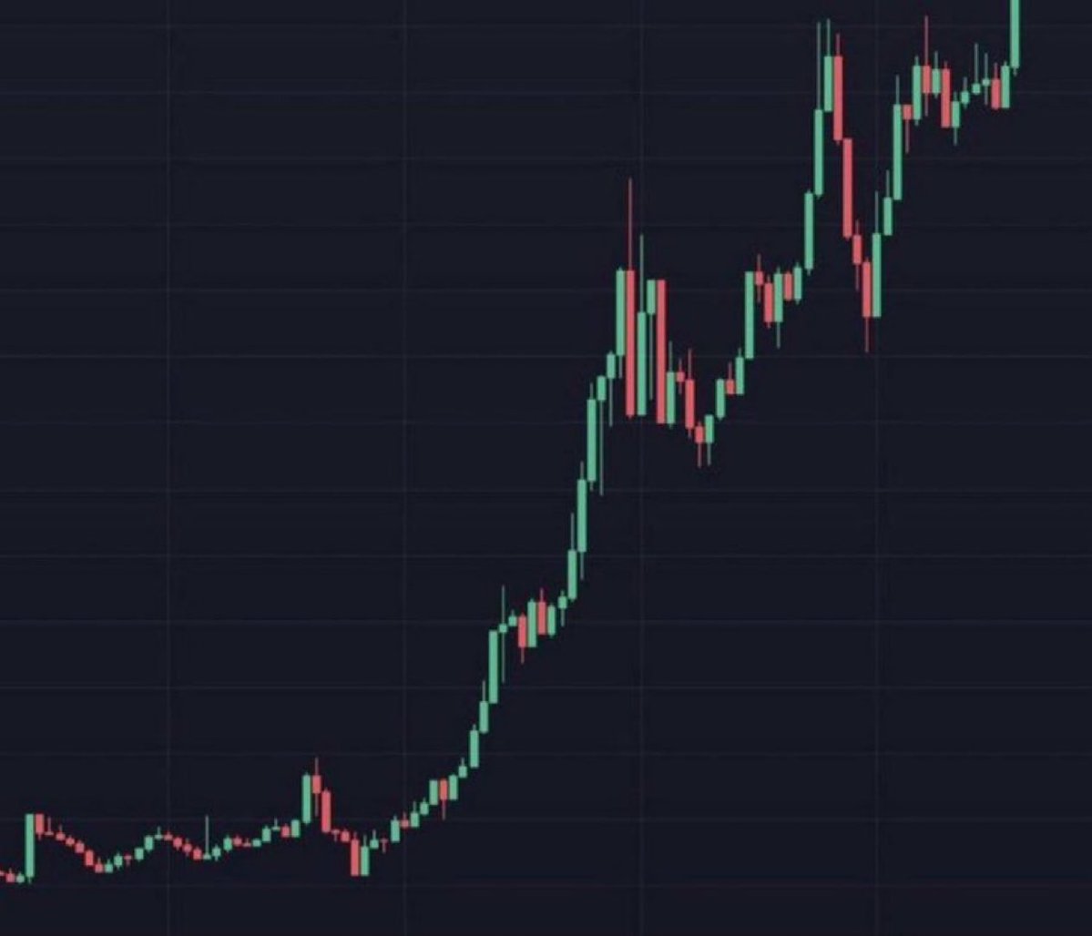 saracrypto_eth's tweet photo. I called
$ANSEM
 it did 1235x

I called
$CATE
 it did 710x

I called $CASHCAT it did 890x

I called $STONK it did 1012x

I called $MARSCOIN it did 981x

I just found another memecoin that is ready to moon, and ill be sharing it on my telegram channel

link in bio https://t.co/RmkjrSzw1f