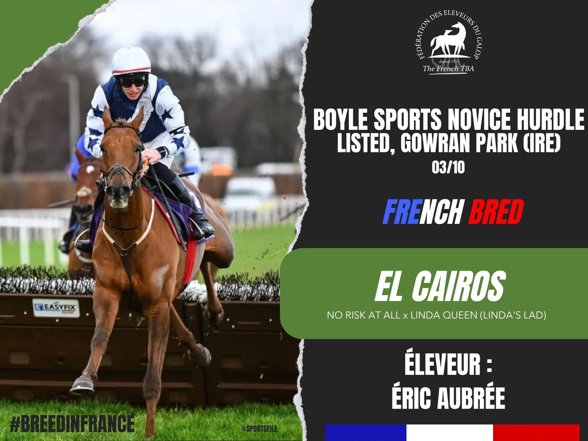 Fedeeleveurs's tweet photo. 🇮🇪EL CAIROS, fils de #NoRiskAtAll, étalon du @HarasMontaigu , s'impose dans le Gowran Park Hurdle sur l'hippodrome de @GowranPark1 en Irlande (03/10).
Félicitations à son éleveur : Éric Aubrée ! 👍
#vivelelevagefrancais #BreedInFrance #RaceAndCare https://t.co/iBCf08QvuY