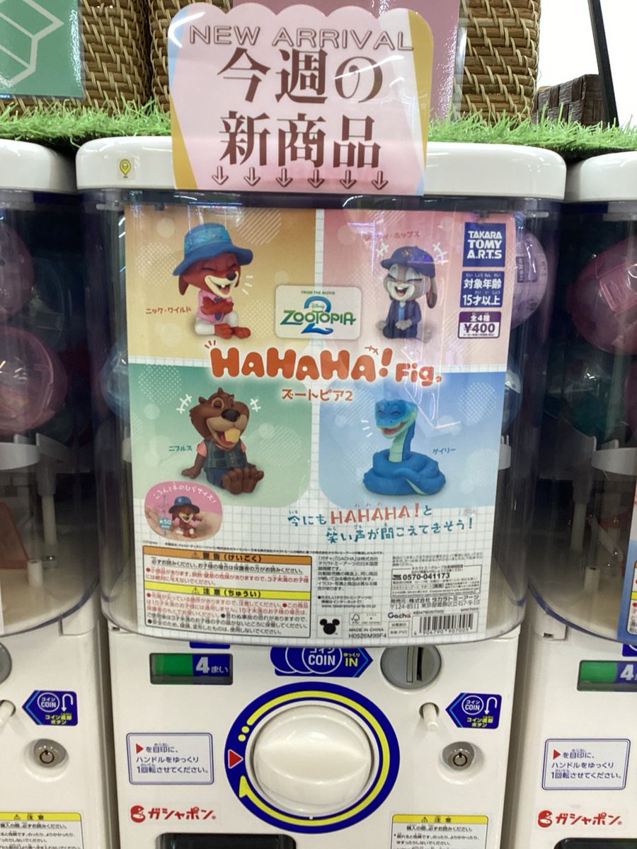 gashacoco 公式X（本部）の入荷情報の写真