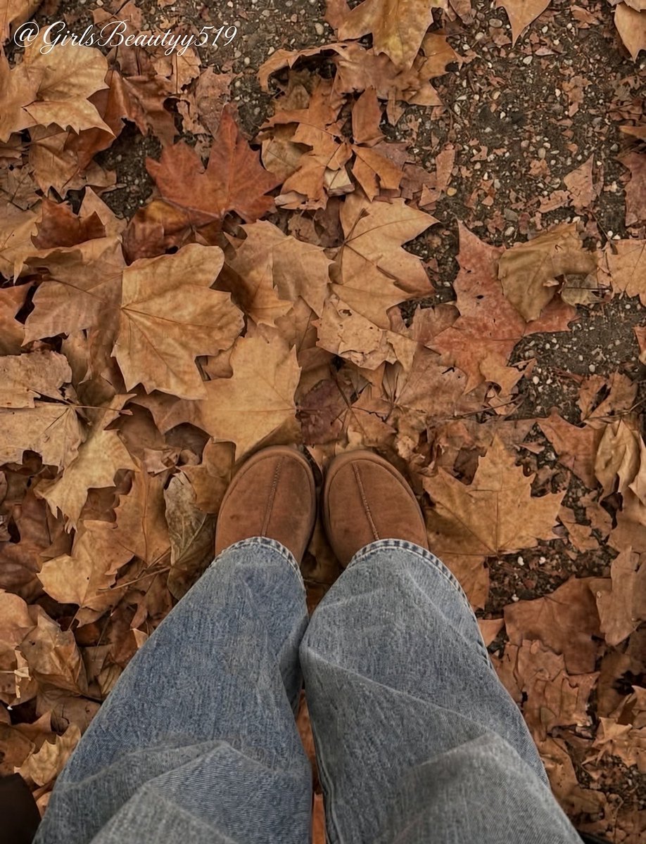 GirlsBeautyy519's tweet photo. the weather permits &amp; the vibes are being created🤩🍁🍂🤎 https://t.co/t5mq0Jj2Ov
