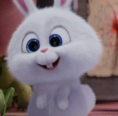 lleocye's tweet photo. he's just a babyyyy (bunny) 🥹🥕
#jj_rcp @jj_rcp
#NETJJ #NetJJ_FMinBerlin https://t.co/0eFb0suoxW