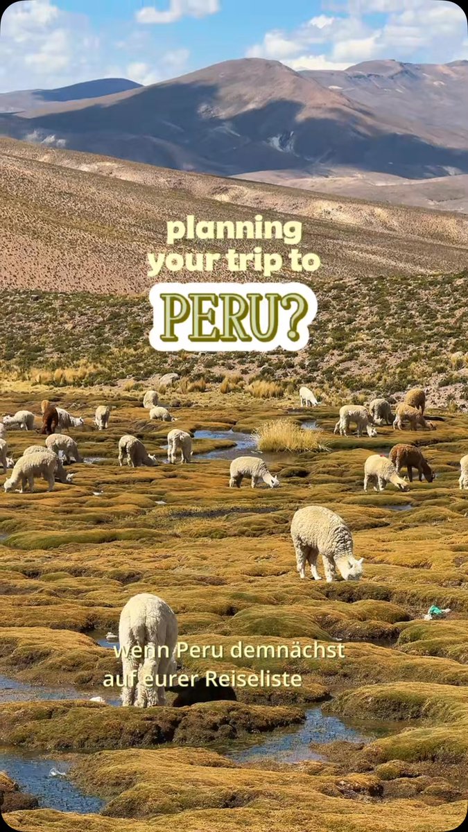 itallovinicios's tweet photo. The best way to visit Colca Canyon: take a 2-day tour from Arequipa to Puno. See condors, volcano viewpoints, hot springs, and wild alpacas, llamas, and vicuñas. Book locally in Arequipa and confirm your hotel has heat and hot water. https://t.co/OognKsYlwq