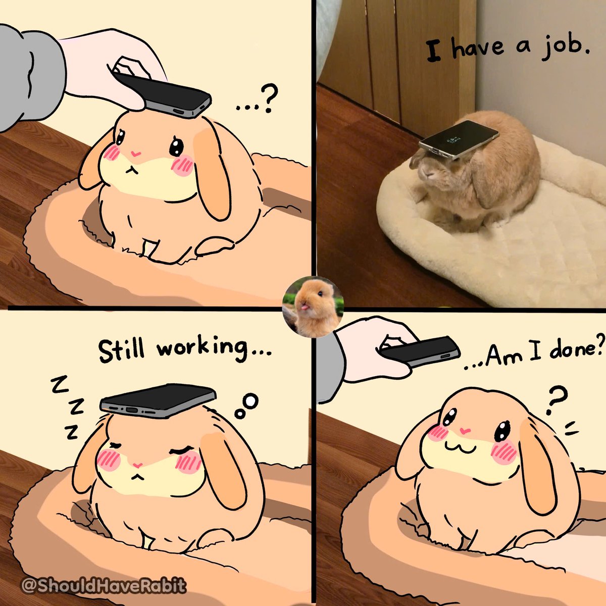ShouldHaveRabit's tweet photo. He took his little job too seriously. https://t.co/4UxQMLAGAN