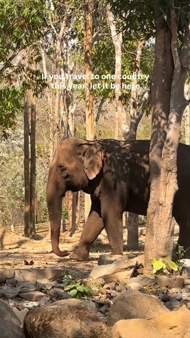 gl_nilfer's tweet photo. If you travel to one country this year, make it Laos. Stunning landscapes, rich culture, and unforgettable experiences await. https://t.co/sZbXOHs5JH