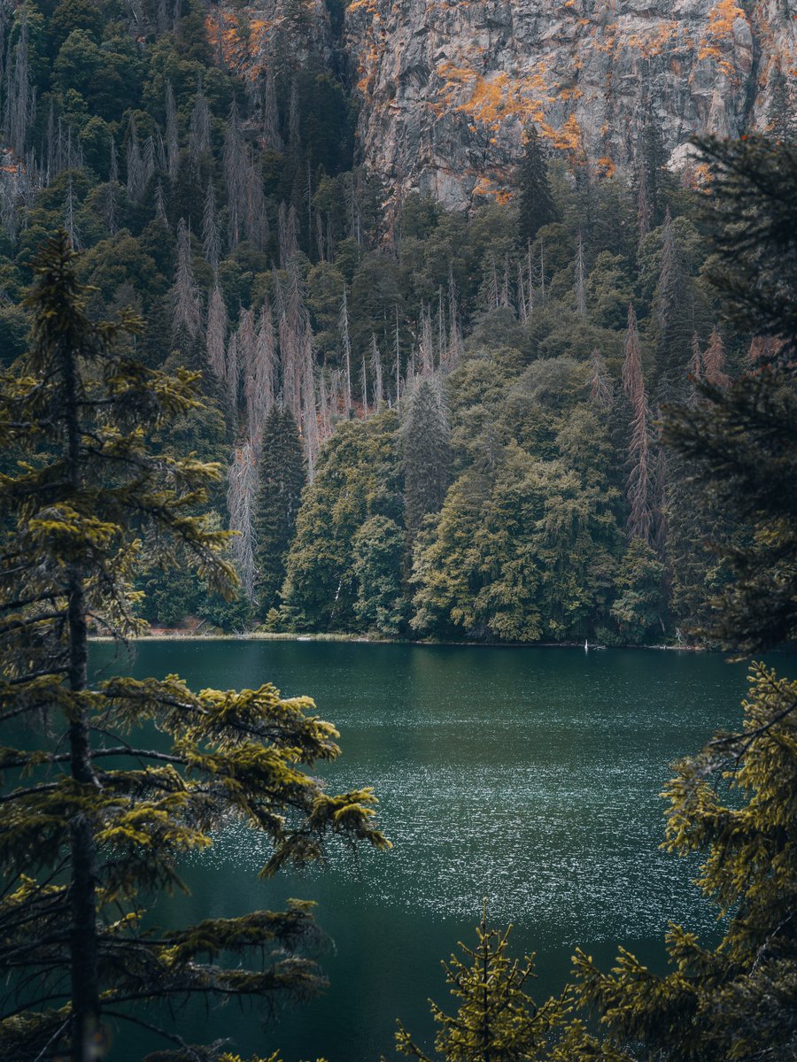 yanardag5's tweet photo. Feldsee am Feldberg: Natur, Ruhe und klare Bergluft. https://t.co/POwIJqQDYY