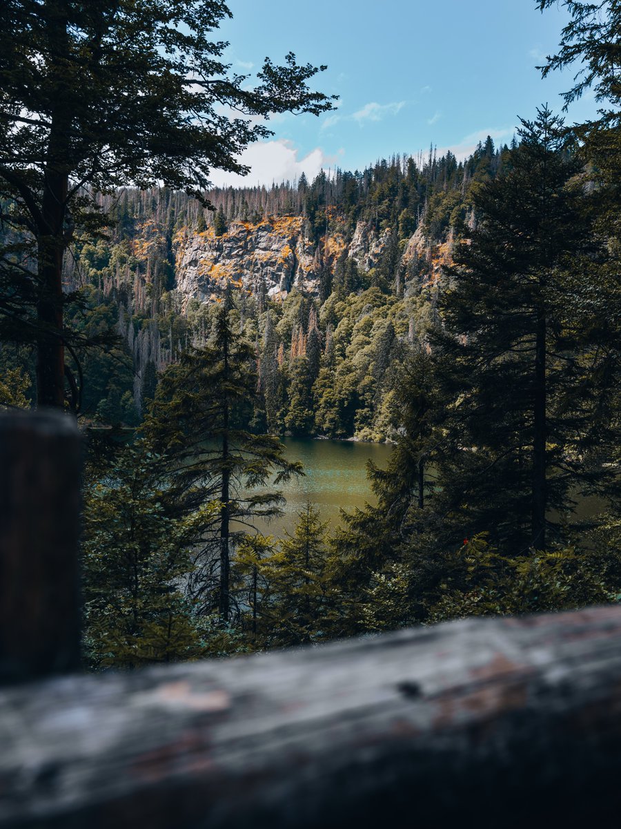 yanardag5's tweet photo. Feldsee am Feldberg: Natur, Ruhe und klare Bergluft. https://t.co/POwIJqQDYY
