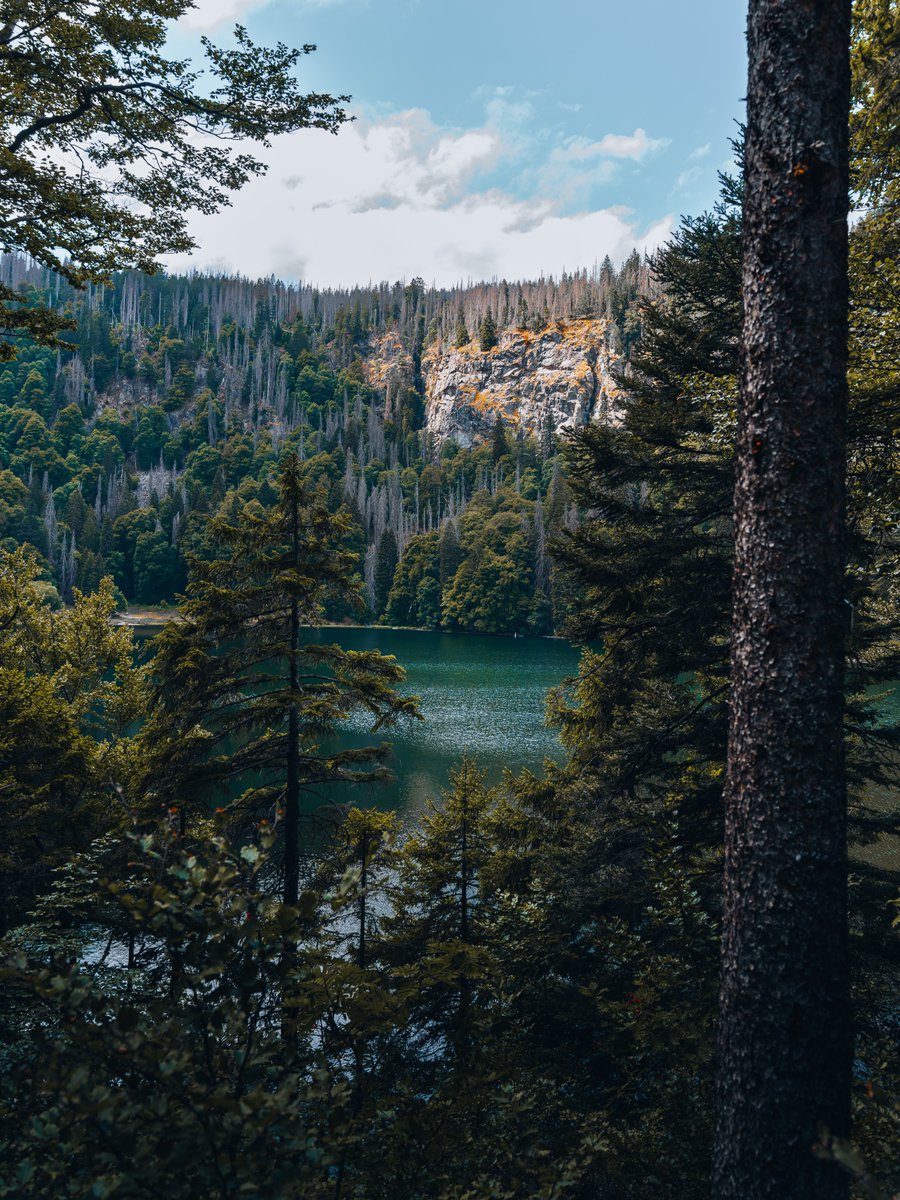 yanardag5's tweet photo. Feldsee am Feldberg: Natur, Ruhe und klare Bergluft. https://t.co/POwIJqQDYY