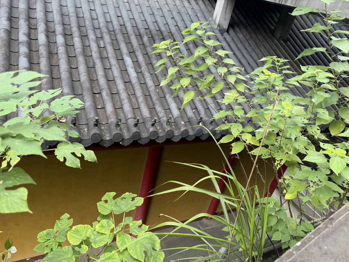 Mingheonline's tweet photo. 滿世界Ai文 盡現人類的孤獨 不如山間走走 https://t.co/PWmmoiFnb4
