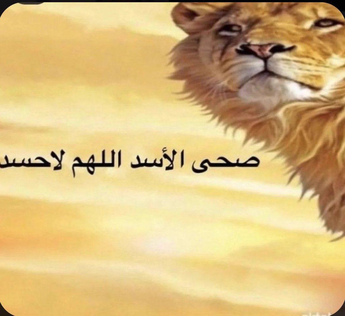 Rcat_oo7's tweet photo. صحيت https://t.co/1kpiXmYPW6