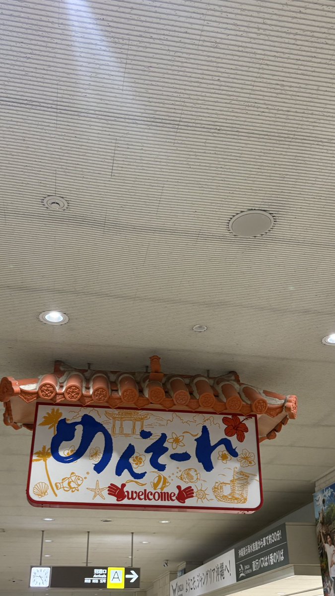 z____o159's tweet photo. 沖縄旅行🌺
1日目はamomentoのジャンプスーツを腰巻き
夏だったなあ https://t.co/TTQwSHZFfE