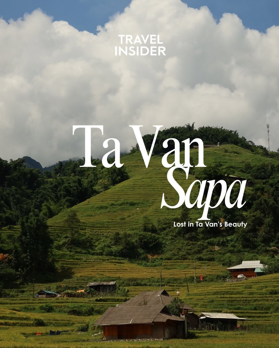 mayragalindo17's tweet photo. Lost in Ta Van’s beauty: green rice fields, mountain views, and nature’s calming rhythm. Slow down, explore the village, meet locals, and savor the simple moments that make Sapa unforgettable. https://t.co/Qfmt0Y3QPD