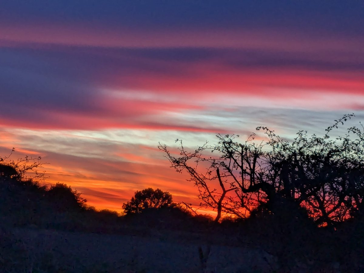 SWEuronics's tweet photo. A good film night @thekinema , son’s recommendation of Digger , Tom cruise latest, very whacky but thoroughly enjoyable. Stunning sunset on the way there via #ebringtonarms for excellent food and and hospitality #lincsconnect https://t.co/AjX5lkkDAj