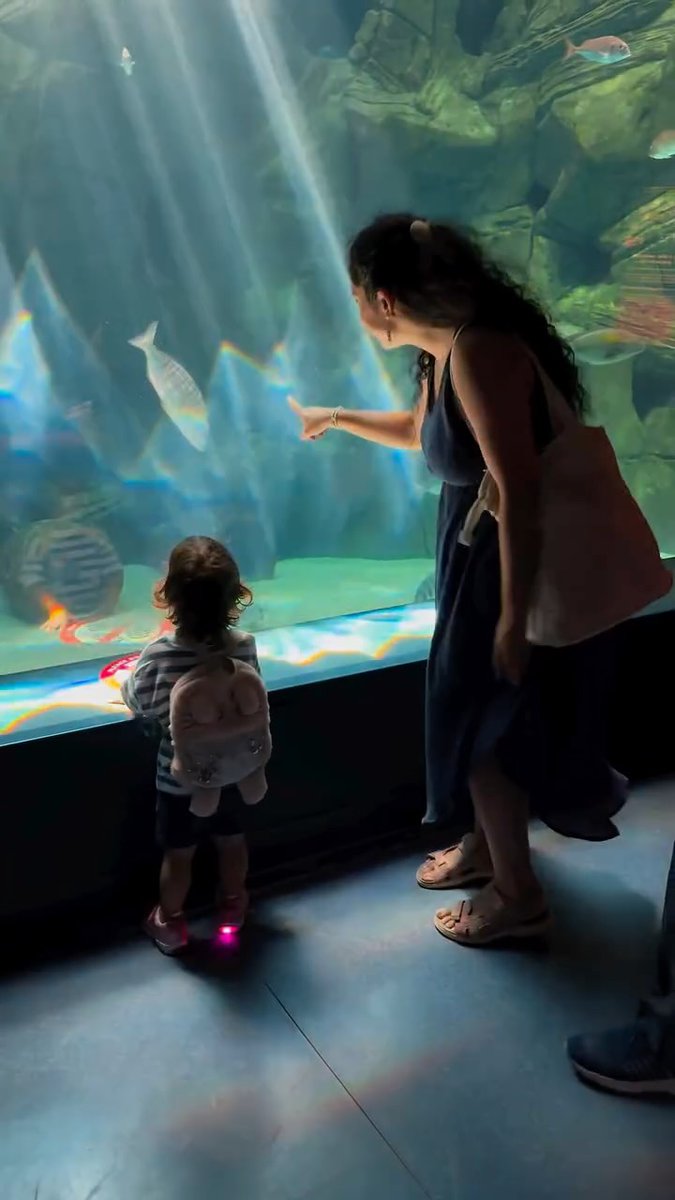 ma_diamond's tweet photo. We finally found Baby Shark. The obsession has reached a whole new level at @cretaquarium. Seeing the ocean through those tiny, amazed eyes is pure magic. https://t.co/zF05UEU3nI