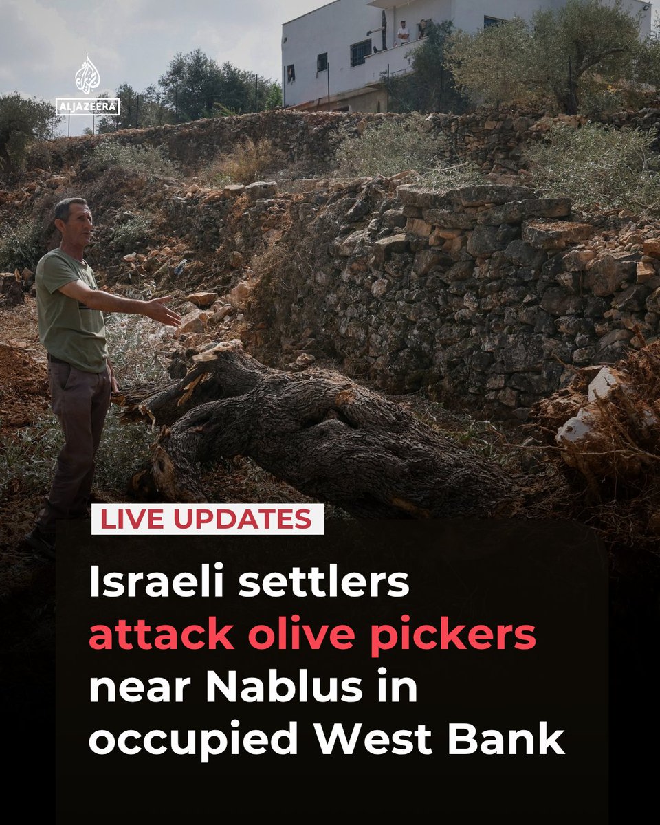 AJEnglish's tweet photo. Israeli settlers attacked Palestinian olive harvesters near Nablus in the occupied West Bank. Israeli attacks on farmland in September affected 14,600 trees, including 9,334 olive trees, according to a Palestinian Authority commission.

🔴 LIVE updates: https://t.co/ovZONYBi0C https://t.co/oOykr04pWM
