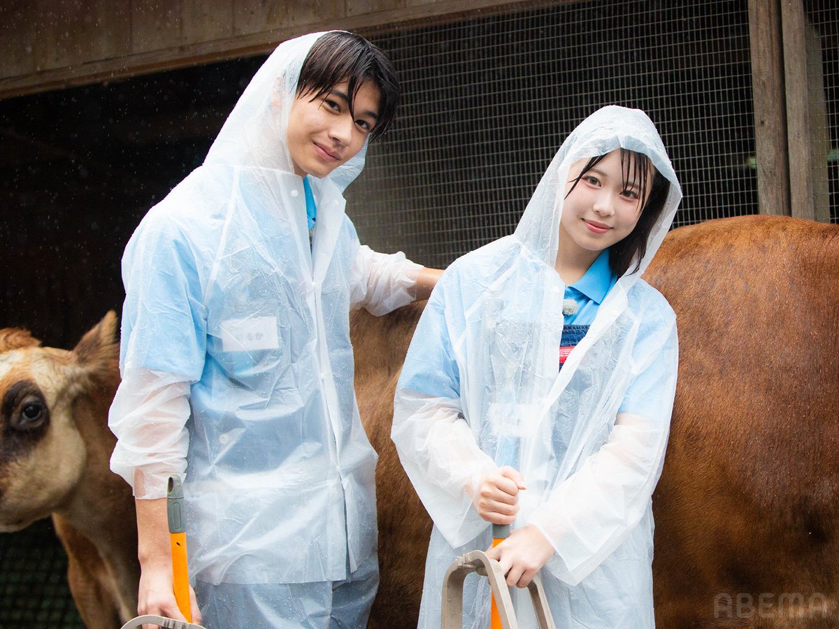 kyousuki_offi's tweet photo. 『シゴデキ  in ふれあい動物園』

２チームに分かれ
動物のお世話に挑戦🐏

ミッション中けいすけにハプニング発生で
ひなのにあるお願いをする…？🫣

#すぱのび 🌟 #ABEMA で無料配信中！
▷ https://t.co/eLQzbyDgS2 

#すーぱーのびしろたいむ #今日好き https://t.co/6KWHgkQOPY