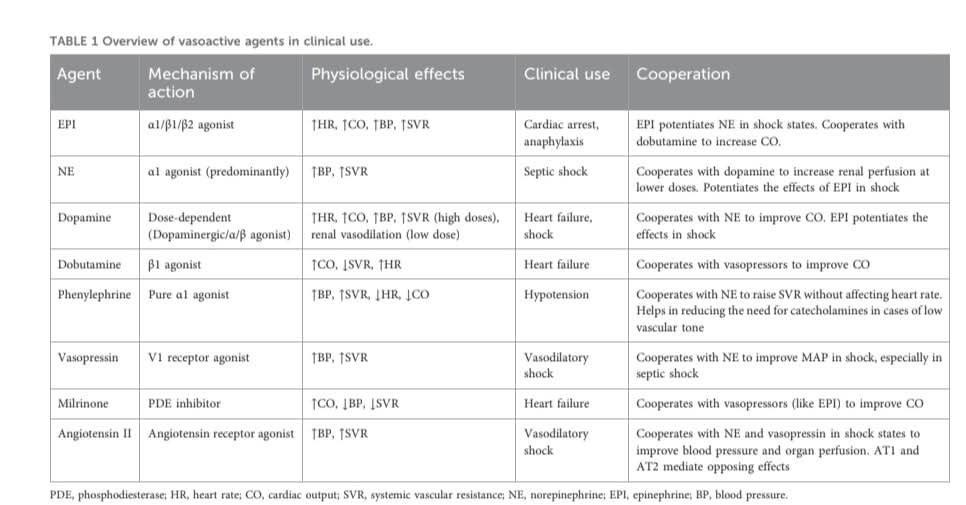 LeslieMegom's tweet photo. 🔘Agentes vasoactivos.💉efectos no cardiovasculares en pacientes críticos 🧠🫁🫀
✨️Notas cafeteras ☕️
▪️💥Catecolaminas: activan α/β-adrenorreceptores. β2 favorece glucólisis aeróbica y hiperlactatemia; α2A potencia agregación plaquetaria; β-vías modulan citoquinas (↑IL-10, ↓TNF-α). 
💥▪️Vasopresina (V1a/V2/V1b): V1a vasoconstrictor; V2 renal → acuaporina-2 (retención hídrica) y aumento de vWF/FVIII (hemostasia); V1b estimula eje HPA (ACTH). 
💥▪️AngII (AT1/AT2): AT1 vasoconstricción, efectos pro-inflamatorios y pro-oxidativos; AT2 contrarregulador; además, modulación renal tubular (Na+/H+) y perfusión esplácnica. 
💥SNC🥴
💉Niveles elevados de catecolaminas pueden causar neurotoxicidad, llevando a daño neuronal y apoptosis.
🍔Efectos gastrointestinales.🍟
🌭Los agentes vasoactivos alteran la motilidad gastrointestinal, con NE y epinefrina causando contracción muscular y disminución de la motilidad.
➡️La vasopresina puede reducir el flujo sanguíneo hepato-esplénico, lo que podría comprometer la salud intestinal.🩸🩸
⏩️La vasoconstricción intensa puede provocar isquemia mesentérica no oclusiva, aumentando el riesgo de hemorragias gastrointestinales.🩸🩸
▪️🩸Hemostasia
💥✨️Vasopresina (V2) libera vWF y FVIII → útil para hemostasia, pero riesgo teórico de trombosis en pacientes pro-coagulables; epinefrina potencia agregación plaquetaria (α2A). 😵‍💫
✨️💥Sistema inmune
▪️Tonos β-adrenérgicos tienden a perfil anti-inflamatorio (↑IL-10) y supresión de TNF-α; dopamina tiene efectos inmunomoduladores dosis-dependientes. Potencial: ajustar elección de vasopresor según fenotipo inflamatorio del huésped.
🎯Microcirculación y endotelio
💉La NE puede mejorar la microcirculación al alcanzar PAM meta, pero dosis altas empeoran heterogeneidad capilar; vasopresina/AngII pueden redistribuir flujo (riesgo de isquemia periférica/mesentérica en altas dosis o combinación). Vigilar signos de isquemia digital. 🩸🩸
🫁Pulmón
▪️💥Epinefrina broncodilata (β2); NE a dosis altas puede ↑PVR; vasopresina tiene efectos pulmonares más neutros. Implicación: en HTP o fallo VD, preferir esquemas que minimicen ↑PVR. 
💥Gastrointestinal e hígado💥
▪️Vasopresina/terlipresina: vasoconstricción esplácnica (↓hiperemia portal; útil en HDA variceal/HRS, pero riesgo de isquemia mesentérica si se excede). AngII también puede comprometer lechos esplácnicos a altas dosis. 💉🎯
▪️💥Endocrino-neuroeje
▪️Vasopresina (V1b) puede potenciar ACTH; catecolaminas alteran secreción de insulina/glucagón. Considerar en estrés, sepsis y control glucémico. 
➡️Función renal.💧💧💉
NE puede mejorar diuresis al restaurar PAM, pero el exceso reduce perfusión cortical; vasopresina aumenta reabsorción de agua (riesgo de hiponatremia si predomina V2); AngII modula hemodinámica glomerular y transporte de sodio. Implicación: titular dosis para PAM-objetivo evitando💉 vasoconstricción renal sostenida.
🔶️Los agentes vasoactivos afectan el flujo sanguíneo renal (FSR) y la función renal, siendo cruciales en pacientes críticos.🛌
▪️💉 La vasopresina puede aumentar la presión de perfusión glomerular, mejorando la tasa de filtración glomerular (FSR) en situaciones de hipotensión.⏬️
💉La dopamina, a dosis bajas, puede aumentar el FSR 💧💧pero su eficacia es cuestionada en pacientes con lesión renal aguda.💧
▪️Efectos endocrinos 💥💥
💉Los agentes vasoactivos modulan la secreción de insulina y glucagón, afectando el metabolismo de la glucosa.🍬
▪️⏩️ La activación de receptores α2-adrenergicos inhibe la secreción de insulina, aumentando los niveles de glucosa en sangre.🩸🩸🩸
⏩️La vasopresina puede amplificar la liberación de insulina inducida por glucosa, mostrando su papel en la regulación hormonal.✨️
▪️Efectos de la vasopresina en la secreción de insulina💉
▪️🔶️ La vasopresina potencia los efectos del glucosa y ACTH en la secreción de insulina.💉
🔶️Aumenta la liberación de insulina en el páncreas mediante la producción paracrina de glucagón.
🔺️🔻 El glucagón activa los 👇🏽