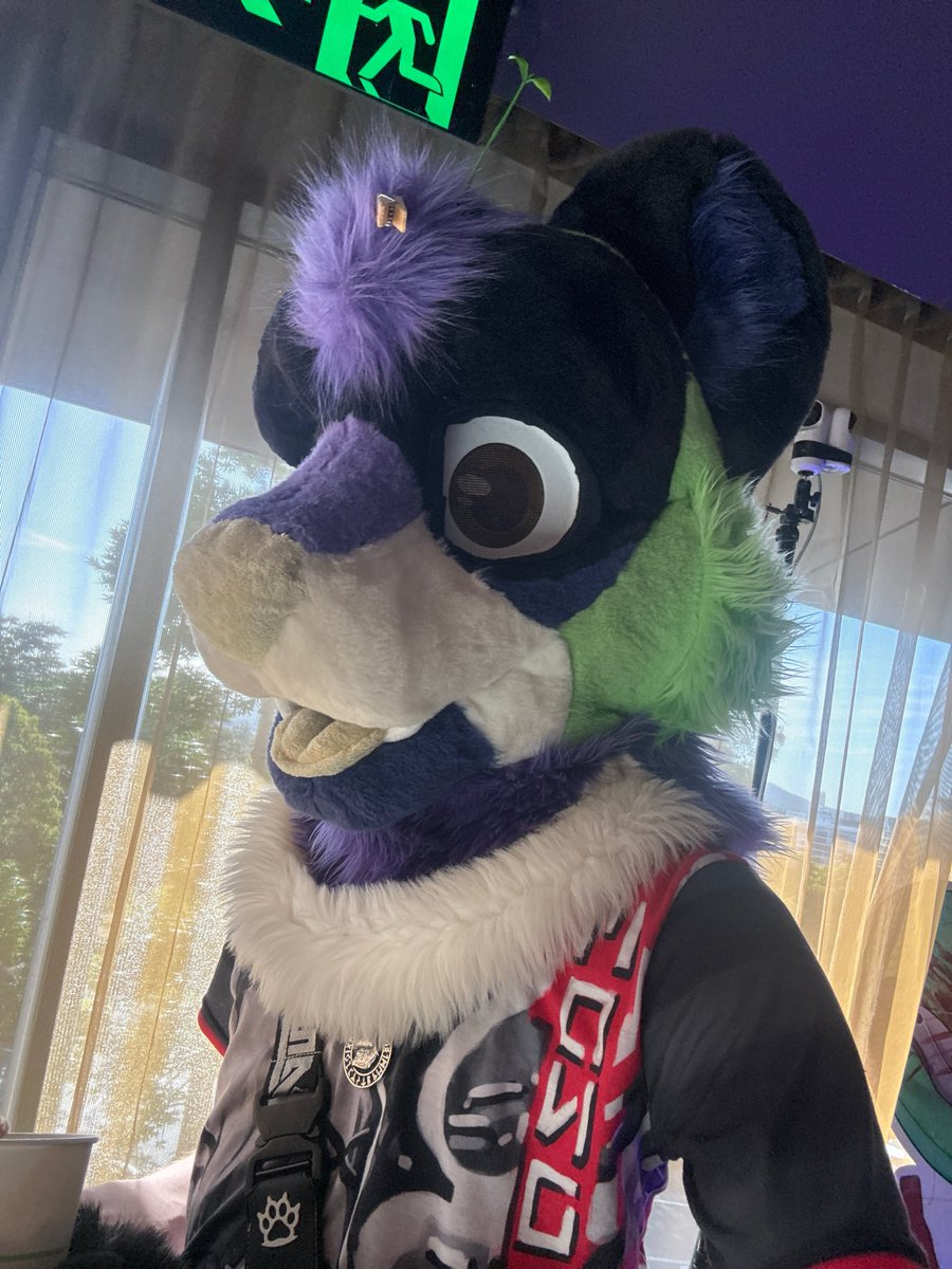 Curse_Infinity's tweet photo. Didn’t get enough pictures sadly.

Suiters are me (obviously), the lovely @Asherthedolf and @ranger_shep, and last but not least, the adorable Acorn (idk if they have twitter so can’t @ them) https://t.co/w0wigXoHxT