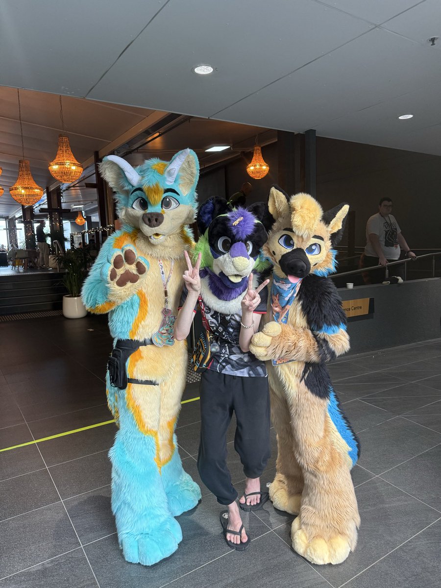 Curse_Infinity's tweet photo. Didn’t get enough pictures sadly.

Suiters are me (obviously), the lovely @Asherthedolf and @ranger_shep, and last but not least, the adorable Acorn (idk if they have twitter so can’t @ them) https://t.co/w0wigXoHxT