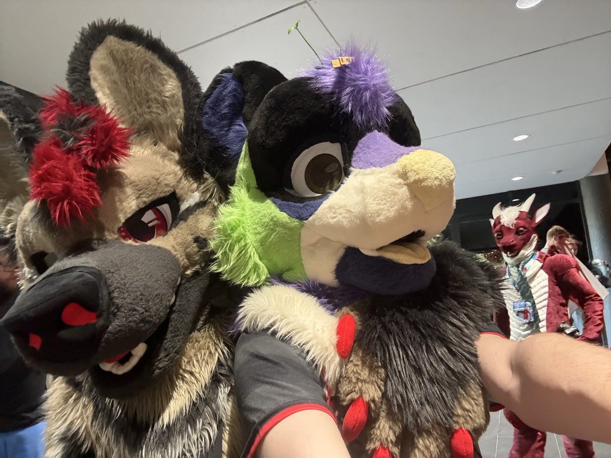 Curse_Infinity's tweet photo. Didn’t get enough pictures sadly.

Suiters are me (obviously), the lovely @Asherthedolf and @ranger_shep, and last but not least, the adorable Acorn (idk if they have twitter so can’t @ them) https://t.co/w0wigXoHxT
