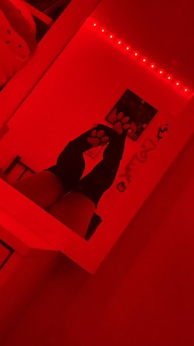 w_90cgs's tweet photo. hi :3 #egirl #esex #cnckink #rapekink #ageplay #incest #pawsocks https://t.co/sf8ujYaqCo