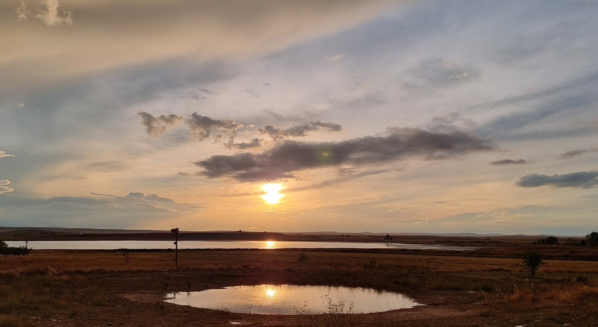 CIGALLOCANTA's tweet photo. Temperatura 🌡 a las 8h  10.1°
Buen y feliz día para todos.
Lunes 5 de octubre 2026
#lagunaDeGallocanta https://t.co/sEDekJDllQ