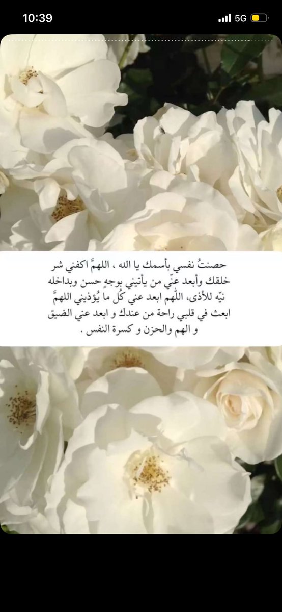 alanoudalmobar1's tweet photo. https://t.co/TueeMyK7aB