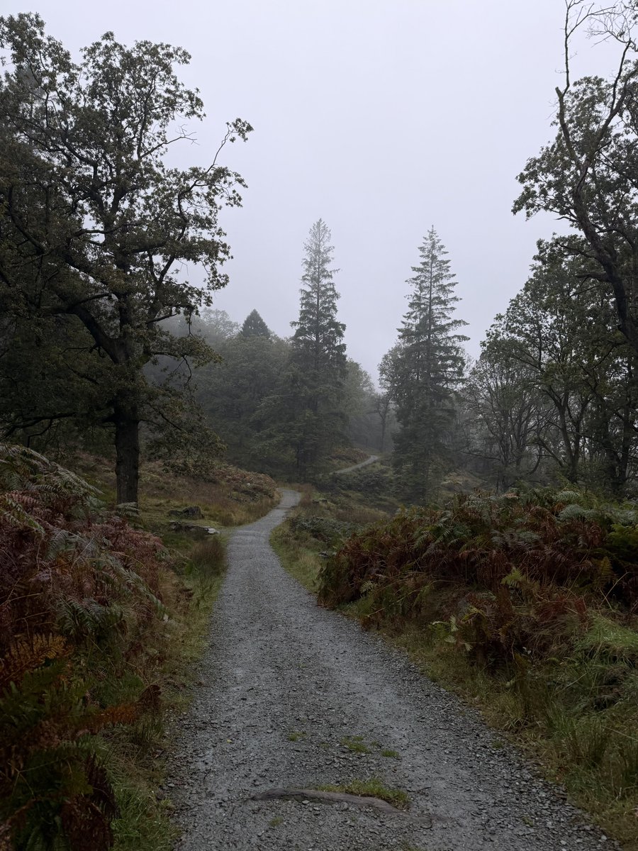hikingshawty's tweet photo. through the seasons https://t.co/2mZF64ji4Y