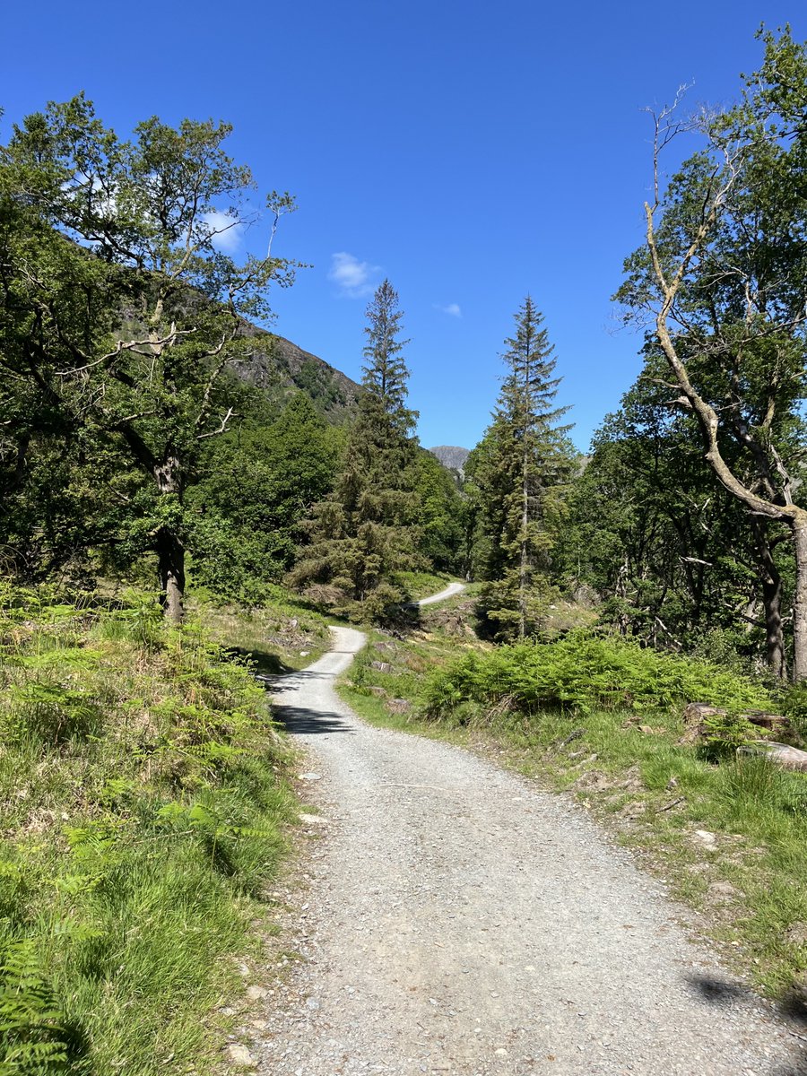 hikingshawty's tweet photo. through the seasons https://t.co/2mZF64ji4Y