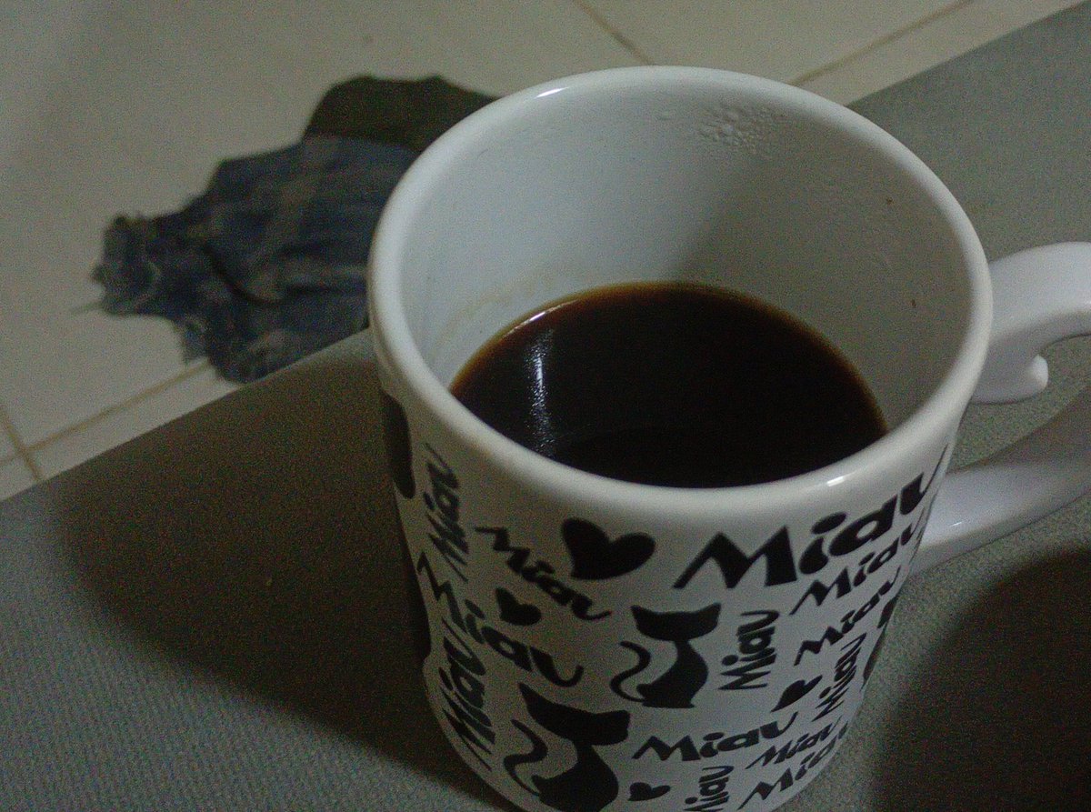 Maxstellha's tweet photo. Adolescente parda, amazonense, lgbt, esquerdista e minoria tomando café às 3:00 da manhã em Manaus, em cima do sofá cinza da minha casa. Vai que o Flávio Bolsobosta tire esse direito de nós tb https://t.co/Vm2sw4wyMo