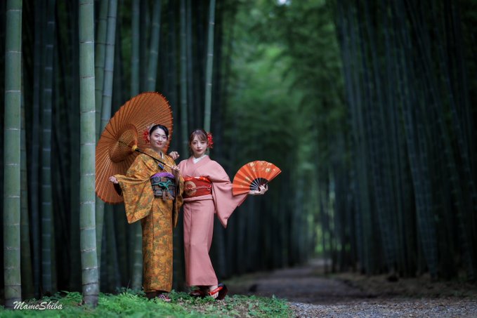 Two women in traditional Japanese kimonos pose with red parasols in a bamboo forest, with 'MameShiba Studio' watermarked on the image.