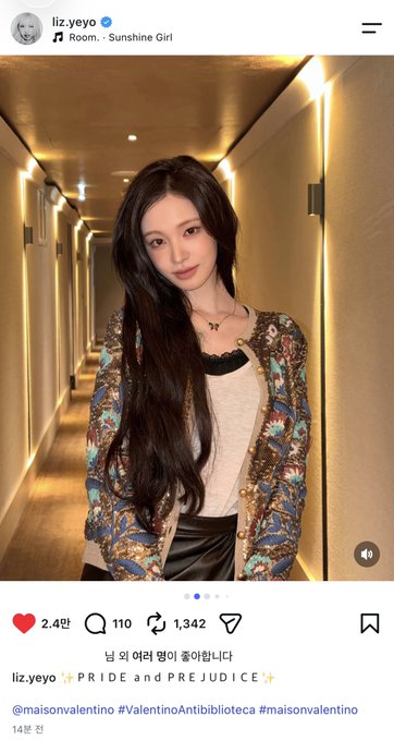 An Instagram post by user 'liz.yeyo' showing a woman with long dark hair wearing a Maison Valentino cardigan, captioned 'PRIDE and PREJUDICE' with hashtags @maisonvalentino, #ValentinoAntibibioteca, and #maisonvalentino.