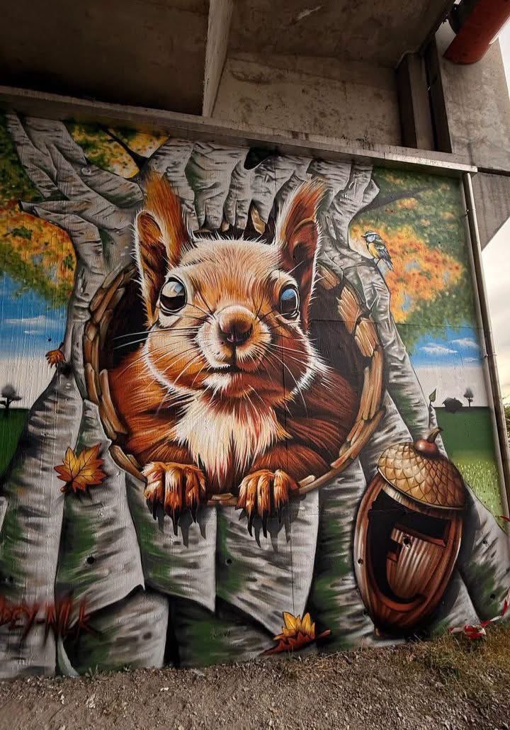 Mavi_Simurg's tweet photo. Günaydın 🐿️

#StreetArt https://t.co/XJQX3kFKZ8