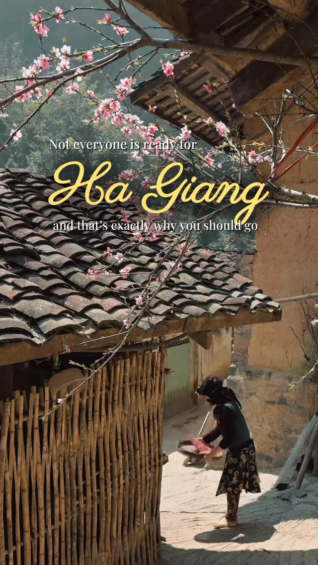GisaKarool's tweet photo. Not everyone is ready for Ha Giang. That’s why it stays unforgettable. Winding roads, wild peaks, shifting weather, and vast landscapes. From Ma Pi Leng Pass to Nho Que River, Ha Giang is raw, powerful, and deeply alive. https://t.co/Ufq4ct1DLN