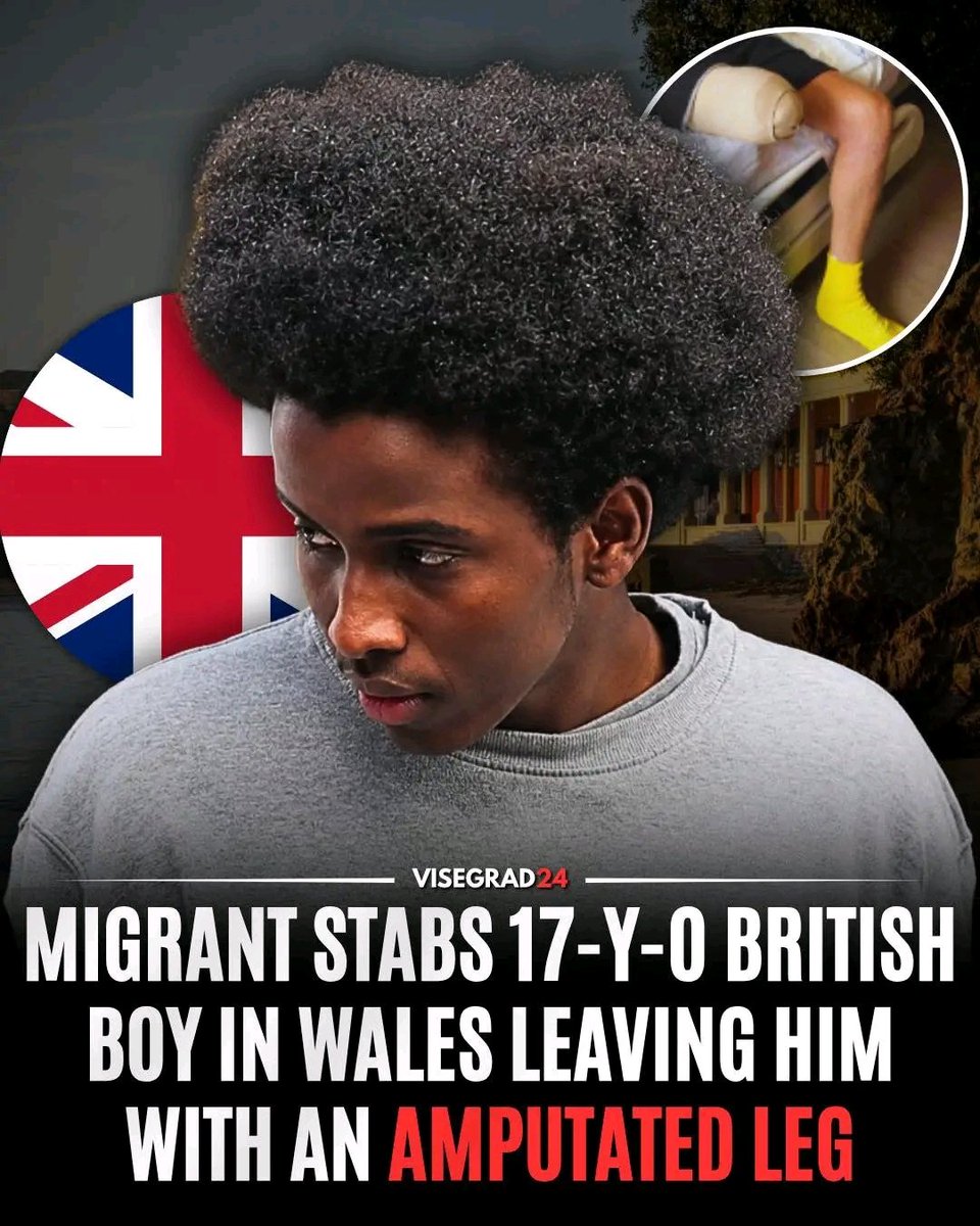 FreyjaBakke's tweet photo. 🇬🇧 A 17-year-old British boy has had his lower leg amputated after being stabbed by migrant Idris Ahmed, 18, during the bank holiday weekend at Barry Island in Wales.

Ahmed has pleaded not guilty to causing grievous bodily harm with intent, unlawfully inflicting grievous bodily harm, and possessing a bladed article.

Prosecutors said the stabbing on May 25 caused catastrophic injuries that led to the victim's leg being amputated below the knee. A previous court hearing described the knife as a "highly dangerous weapon."

Ahmed has been remanded in custody ahead of a trial scheduled to begin on November 2, which is expected to last 10 days.
Credit Visgrad 24