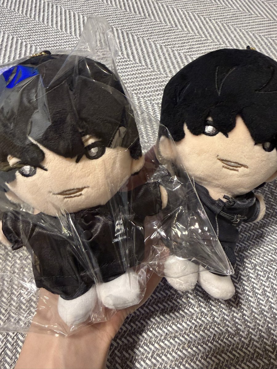 Pochamapocha_49's tweet photo. 今日、新人が入りました〜！ https://t.co/ixzcAewb4N