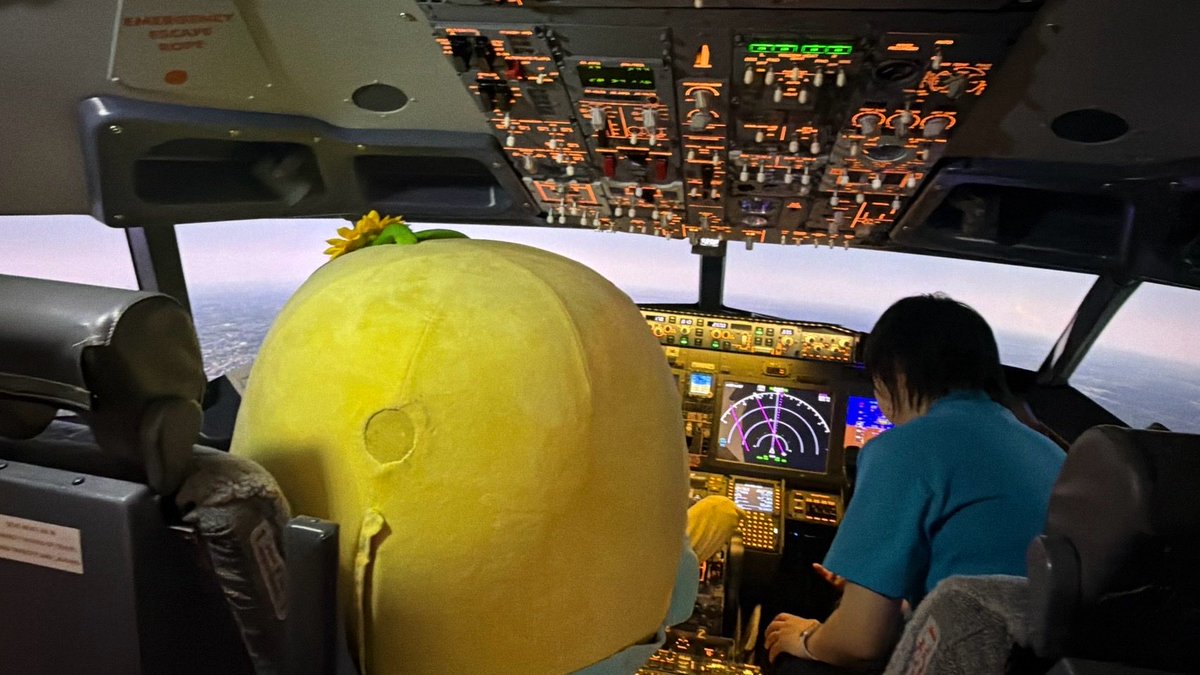 funassyi's tweet photo. こんなっしー♪ヾ(。゜▽゜)ノ本機は着態勢に入りましたなっしー♪初めてですのでしっかりとおつかまりくださいなっしー♪ https://t.co/UanF5CCGbv
