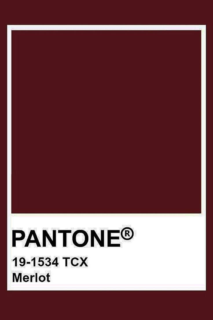 lioye_'s tweet photo. IKUTAAAN
how pinterest sees me!

☾・fashion
☾・pantone color
☾・mood
☾・food https://t.co/s2AsK3E3e4