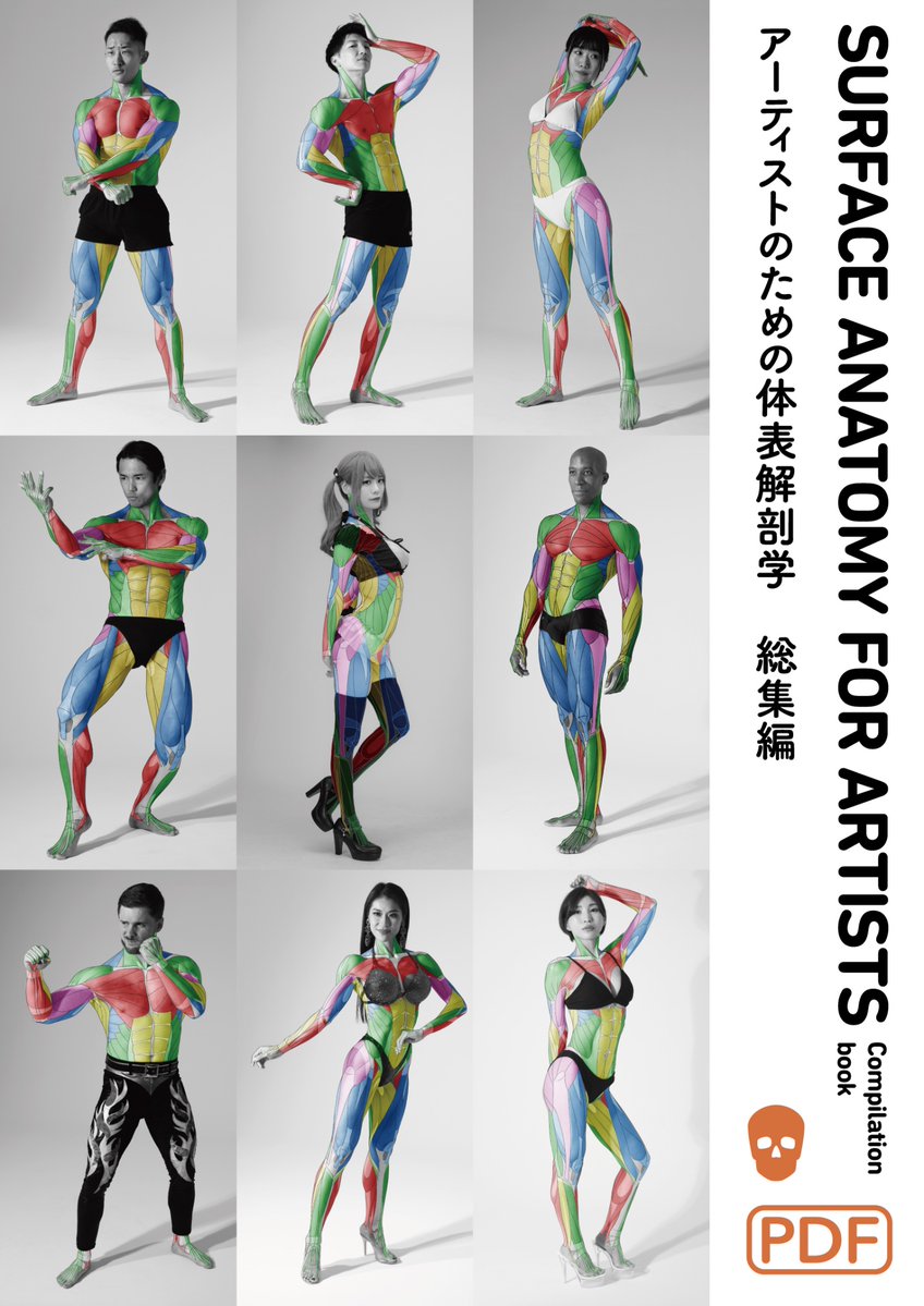 artanatomylab's tweet photo. 『アーティストのための体表解剖学　総集編』
同人誌【PDF版】好評発売中！
筋肉はグループごとに色分けし、範囲を素早く参照できるようにしました！模写やトレースなどで美術解剖学の勉強をするのに最適です！
https://t.co/SrGCdtjXFj https://t.co/ZcyA0mNS5T