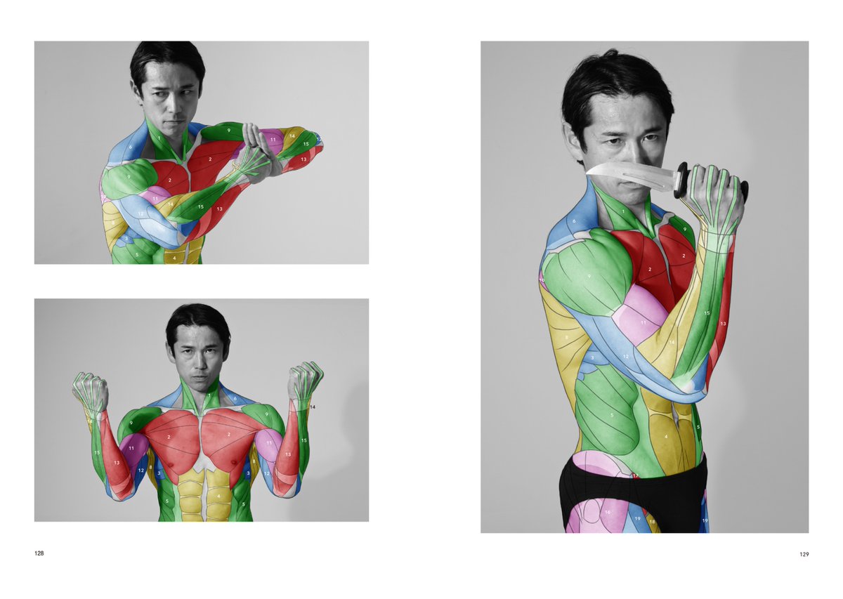 artanatomylab's tweet photo. 『アーティストのための体表解剖学　総集編』
同人誌【PDF版】好評発売中！
筋肉はグループごとに色分けし、範囲を素早く参照できるようにしました！模写やトレースなどで美術解剖学の勉強をするのに最適です！
https://t.co/SrGCdtjXFj https://t.co/ZcyA0mNS5T