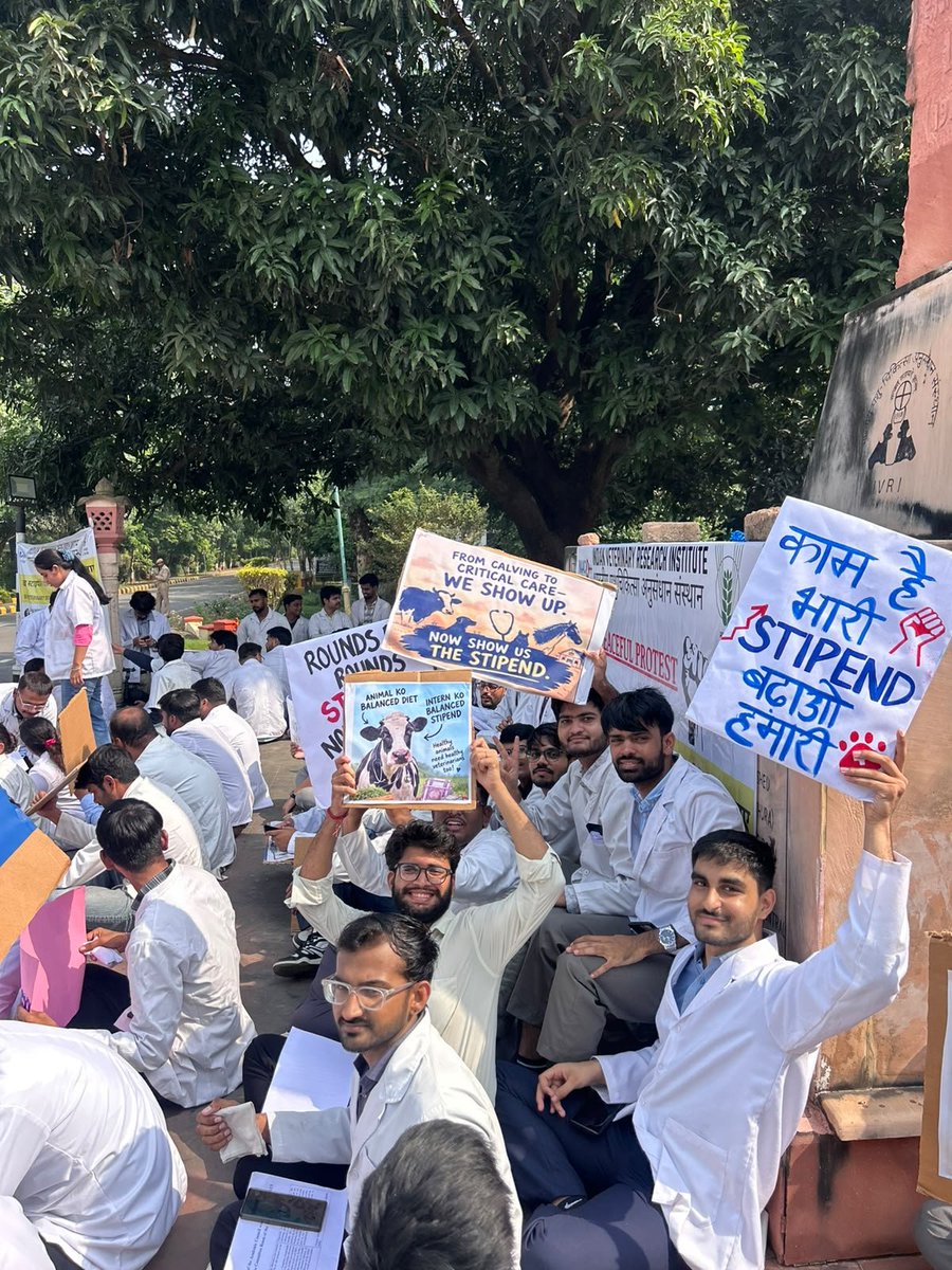 Sharanyagauri's tweet photo. आईवीआरआई में इंटर्नशिप भत्ता ₹1,500 से बढ़ाकर ₹25,000 किया जाए। विद्यार्थियों की मेहनत, समय और आवश्यकताओं को देखते हुए सम्मानजनक भत्ता दिया जाए।@icarindia @ivri_1889 @ChouhanShivraj @dare_goi @CimmytMl #IVRIINTERNSTIPEND https://t.co/BrVVjxPOTS