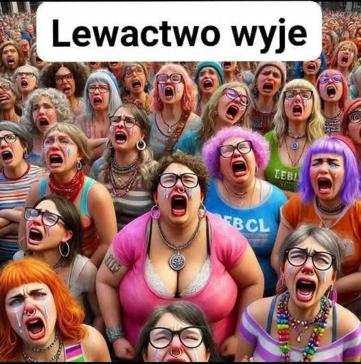 willa_aw's tweet photo. @speedy5_3 A jednak wyjesz lewaku-biedaku: https://t.co/0LQW1pwQhG