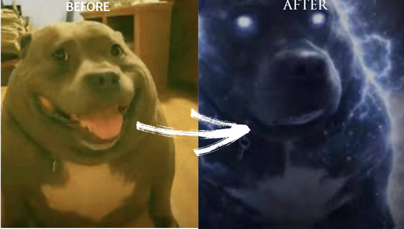 noxox34m's tweet photo. Me after finding the original of a meme https://t.co/9eZBuM4Dw7