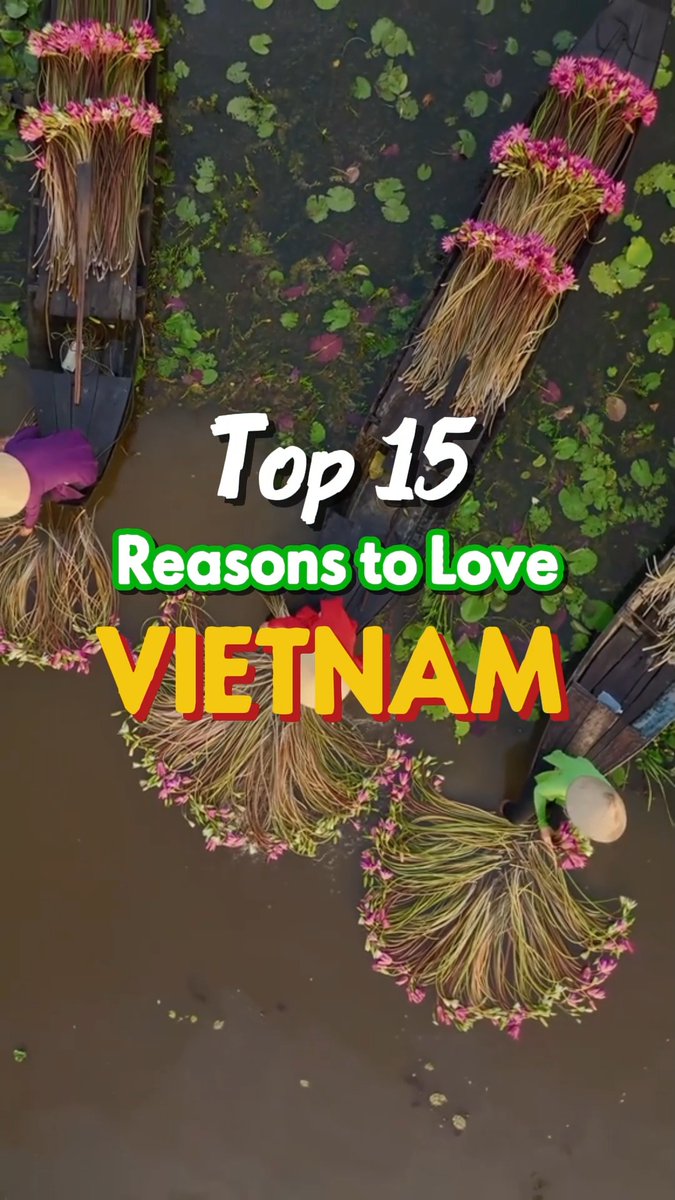 eusouMARA's tweet photo. 15 Reasons to Fall in Love with Vietnam

From misty mountains and turquoise waters to vibrant cities, incredible cuisine, timeless traditions, and warm hospitality, Vietnam stays in your heart long after the journey ends. https://t.co/yJyN00ikhw