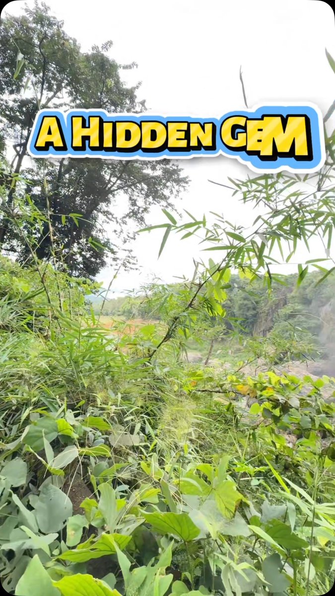 BSBAJCute's tweet photo. She discovered a hidden gem deep in the forest. https://t.co/q4MJHrk5qP