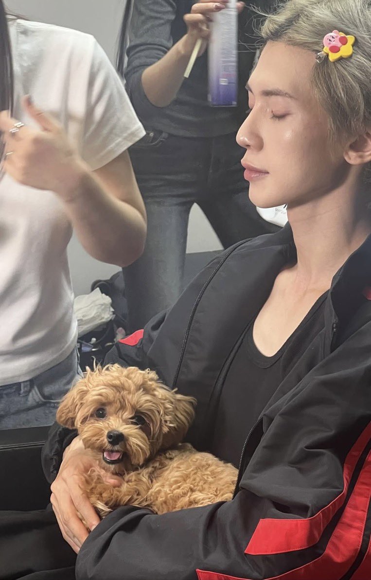 yeoomf's tweet photo. huge fan of these pictures of sansang holding animals like they gave birth to them https://t.co/8oy7tXpSBt