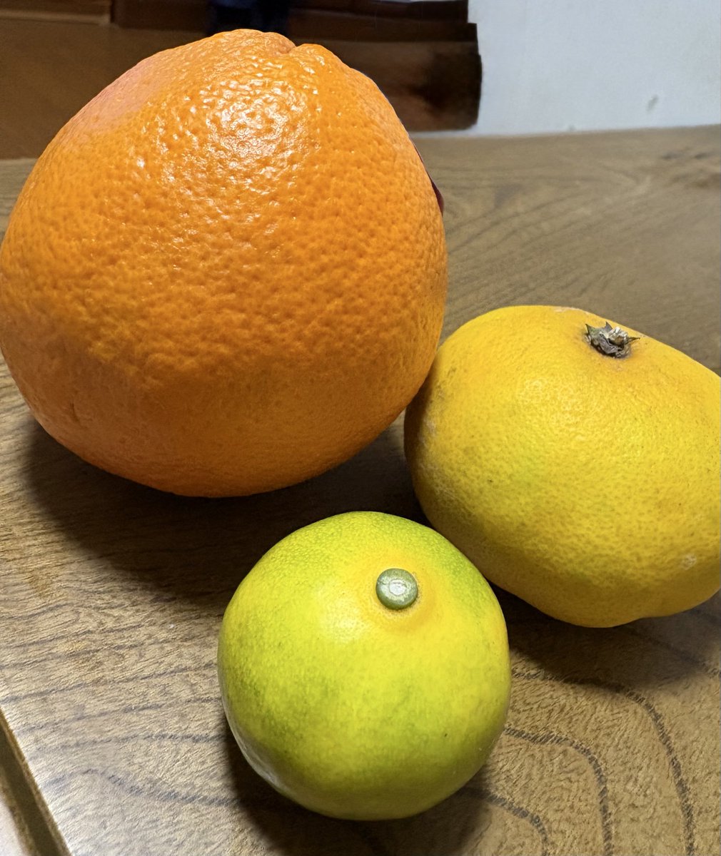 junkokakei's tweet photo. お昼ご飯に🍊🍊
手で皮が剥けるオレンジ
普通サイズみかん
極小サイズみかん🍊
↑すだち？柚子？と思って買いました！包丁🔪で切ったら、中身がオレンジ色！腐ってるんダァと思って、もう一つ切る！　あれ？オレンジ色❗️
やっと、小さな小さなミカンとわかりました🍊　大好きな柑橘系🍊🍊 https://t.co/l8jTMNaB3G